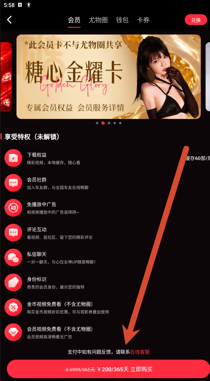 会员页面的权益列表和购买入口